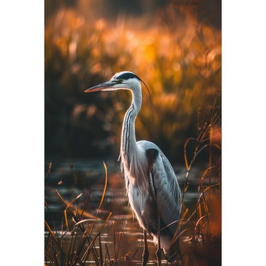Crane Bird Painting